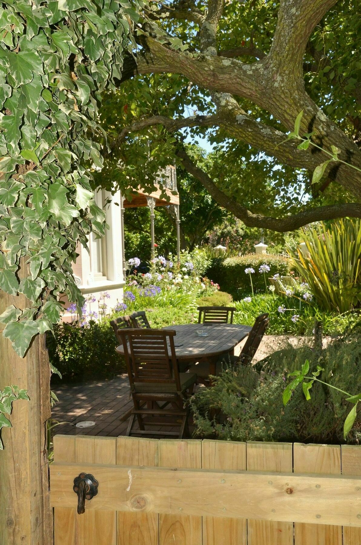 Medindi Manor Guest house